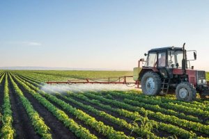Imagem de destaque do curso DESENVOLVIMENTO TERRITORIAL RURAL E SUSTENTÁVEL