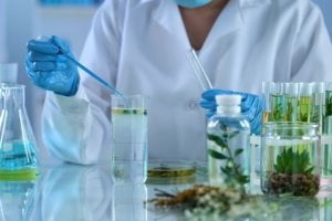 Imagem de destaque do curso FITOTERAPIA E PRESCRIÇÕES FITOTERÁPICAS