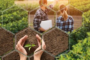 Imagem de destaque do curso AGRONEGÓCIO