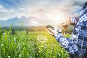 Imagem de destaque do curso ECONOMIA E GESTÃO DE AGRONEGÓCIOS