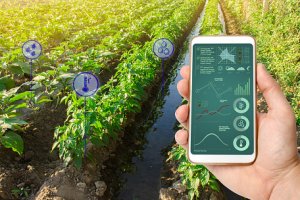 Imagem de destaque do curso MANEJO E FERTILIZAÇÃO DOS SOLOS