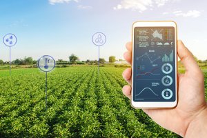 Imagem de destaque do curso MBA EXECUTIVO EM ECONOMIA E GESTÃO: AGRONEGÓCIO