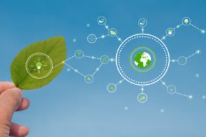 Imagem de destaque do curso ECOLOGIA E DESENVOLVIMENTO SUSTENTÁVEL