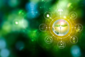 Imagem de destaque do curso MEIO AMBIENTE E SUSTENTABILIDADE