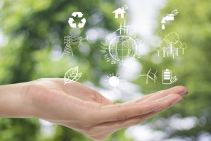 Imagem de destaque do curso PROTEÇÃO AO MEIO AMBIENTE E SUSTENTABILIDADE