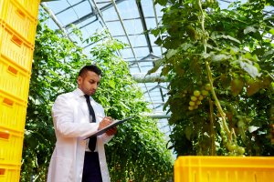 Imagem de destaque do curso MBA EXECUTIVO EM GESTÃO DO AGRONEGÓCIO