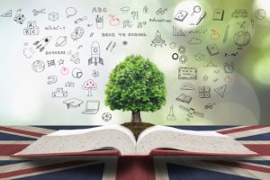 Imagem de destaque do curso EDUCAÇÃO AMBIENTAL