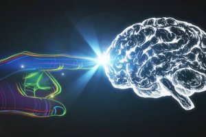 Imagem de destaque do curso NEUROPSICOPEDAGOGIA