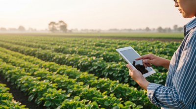 DESENVOLVIMENTO TERRITORIAL RURAL E SUSTENTÁVEL